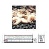 Conveyor Freezer