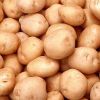 Potato