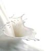 Acid Casein