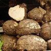 Fresh Yam