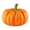 Fresh Pumpkin