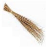 Mops, Brooms & Dusters
